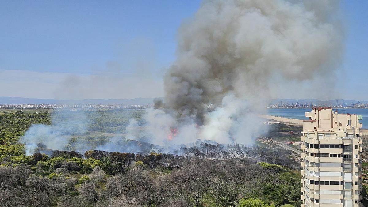 Incendio del pasado jueves en la Devesa del Saler