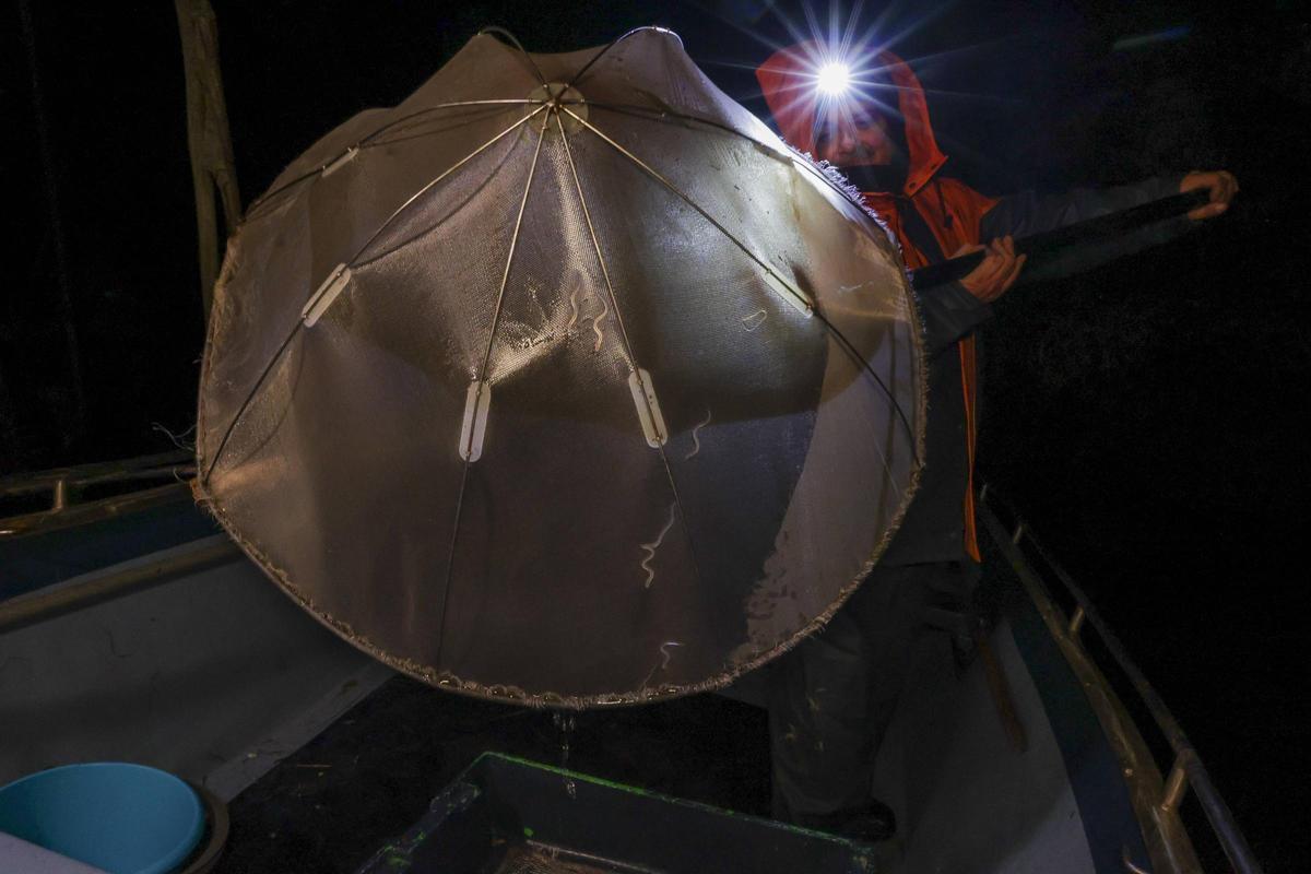 Las solitarias y duras noches de los anguleros de Asturias