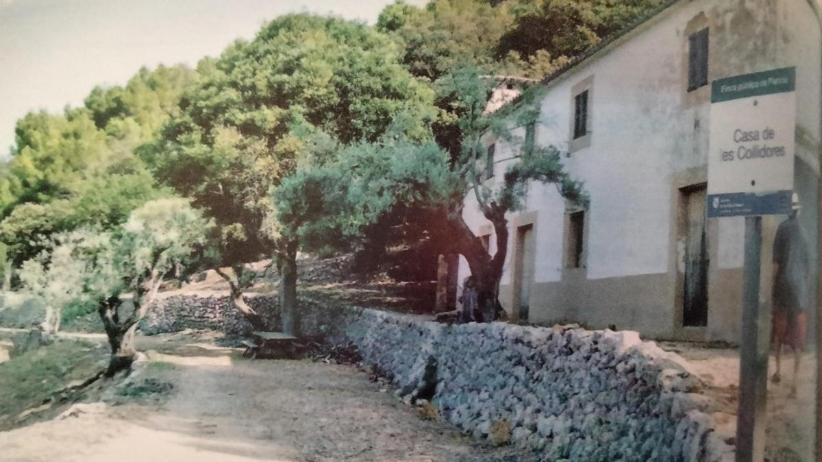 Cases de les collidores de la finca publica de Planícia.