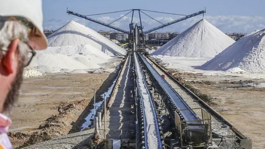 Imagen de la actividad de extracción de sal en la laguna de Torrevieja.