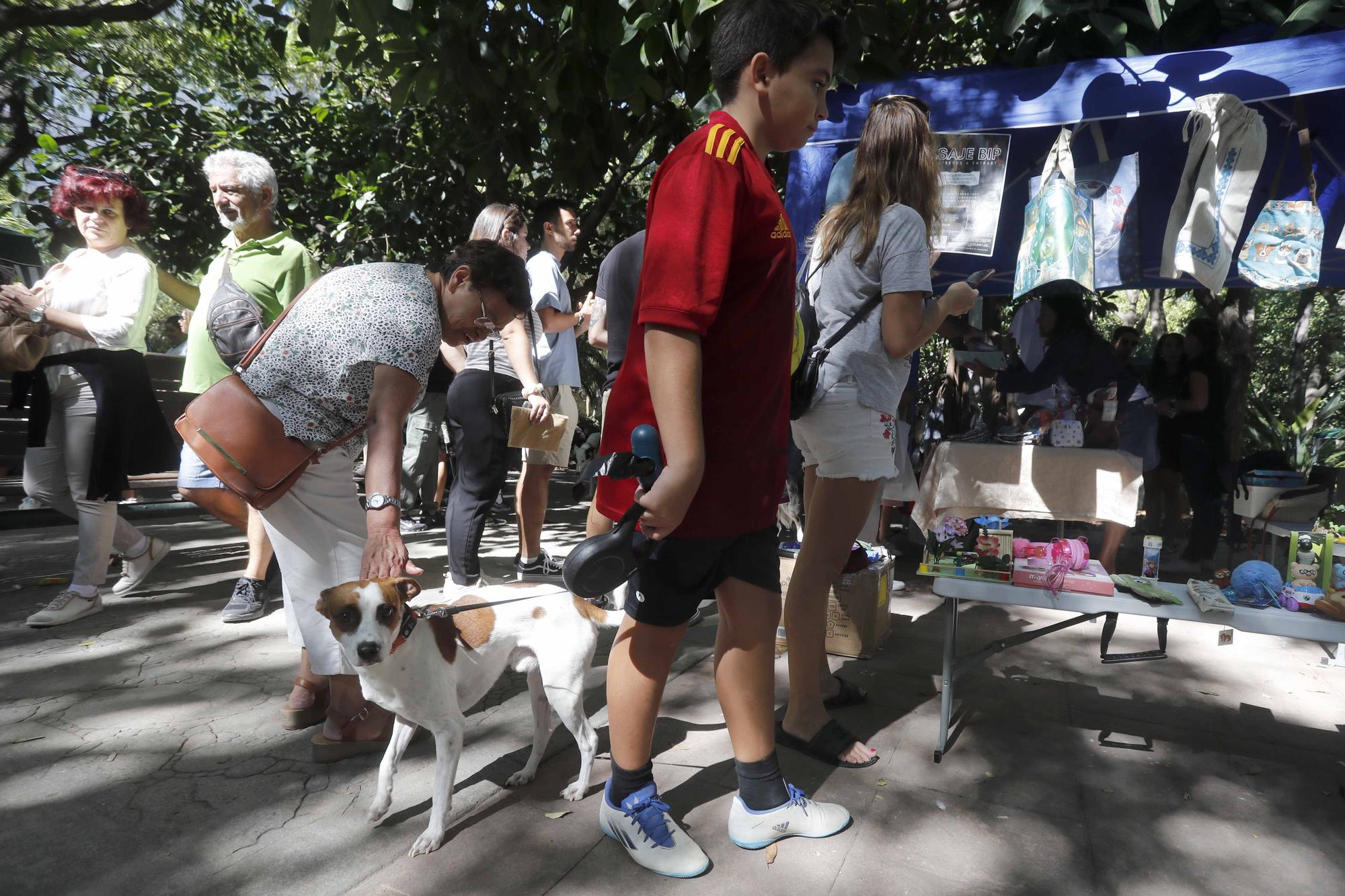 La Feria Animalista de València, en imágenes