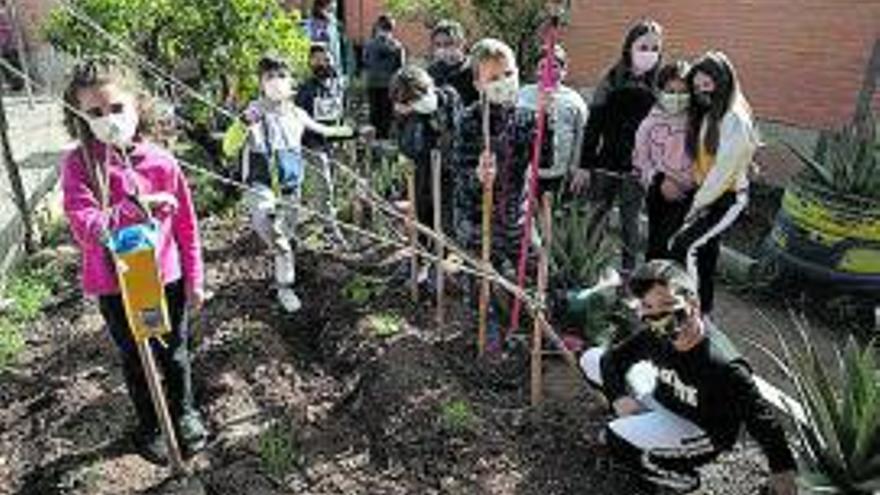 Educación creativa en Faura