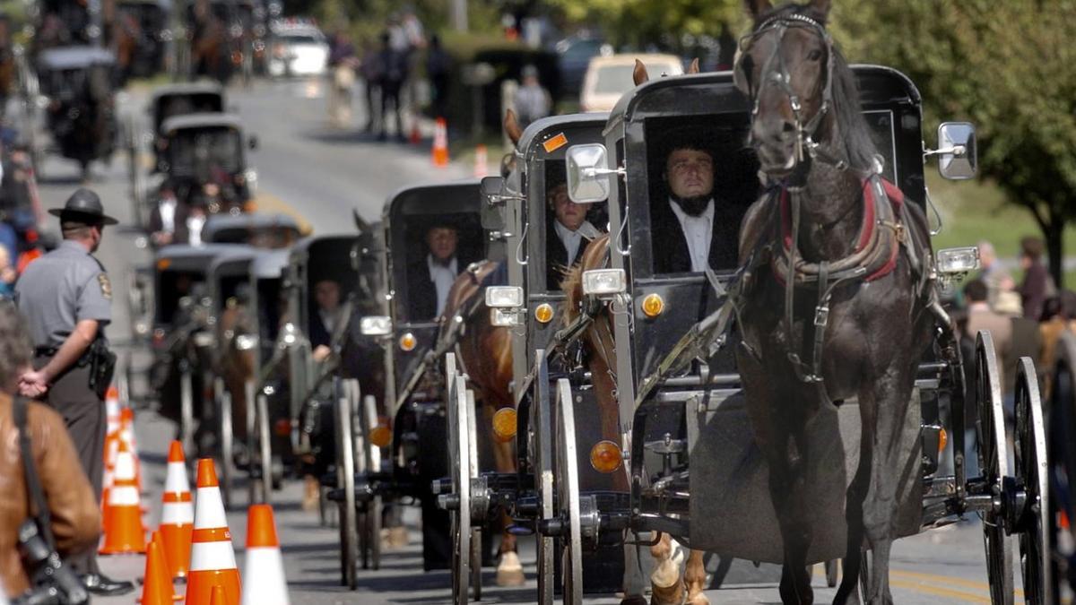 Procesión de carros tirados por caballos de una comunidad 'amish' en Georgetown.