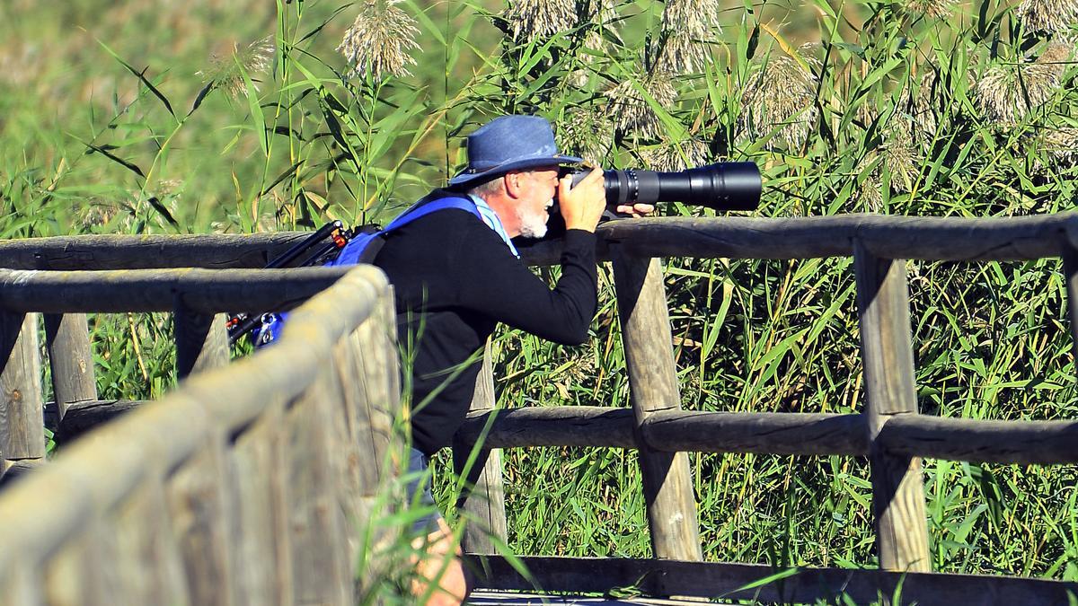 Un ornitólogo observa las aves del parque natural de El Hondo este fin de semana