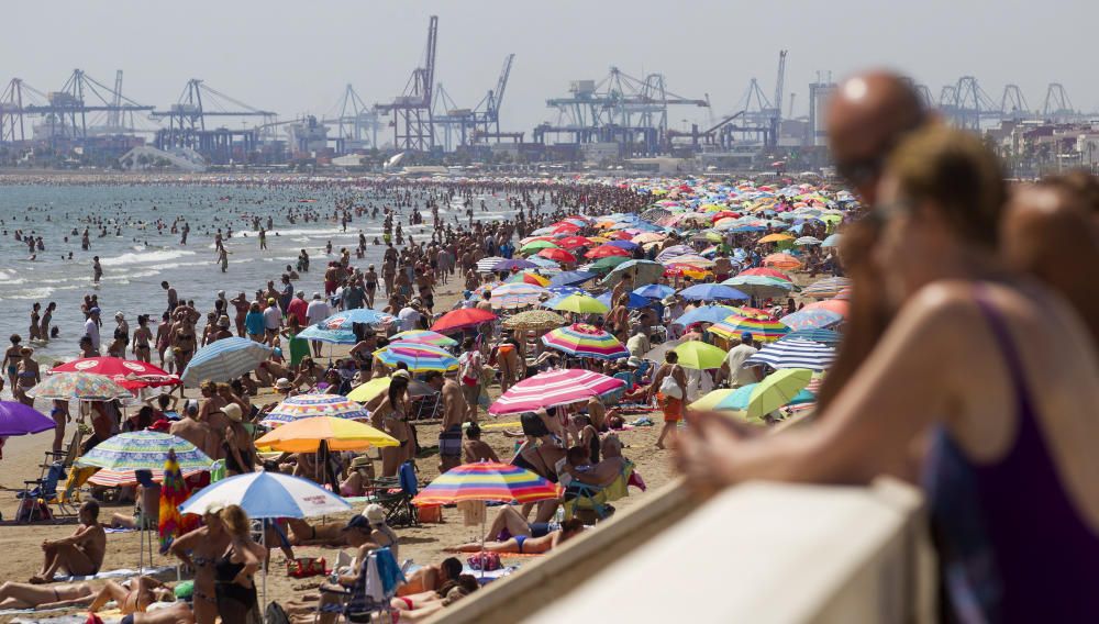 Alerta por altas temperaturas en la C. Valenciana