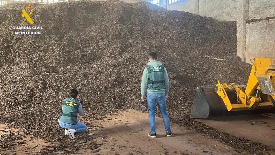 Cuatro detenidos en Vinaròs por introducir ilegalmente en el mercado más de 37 toneladas de olivas y algarrobas