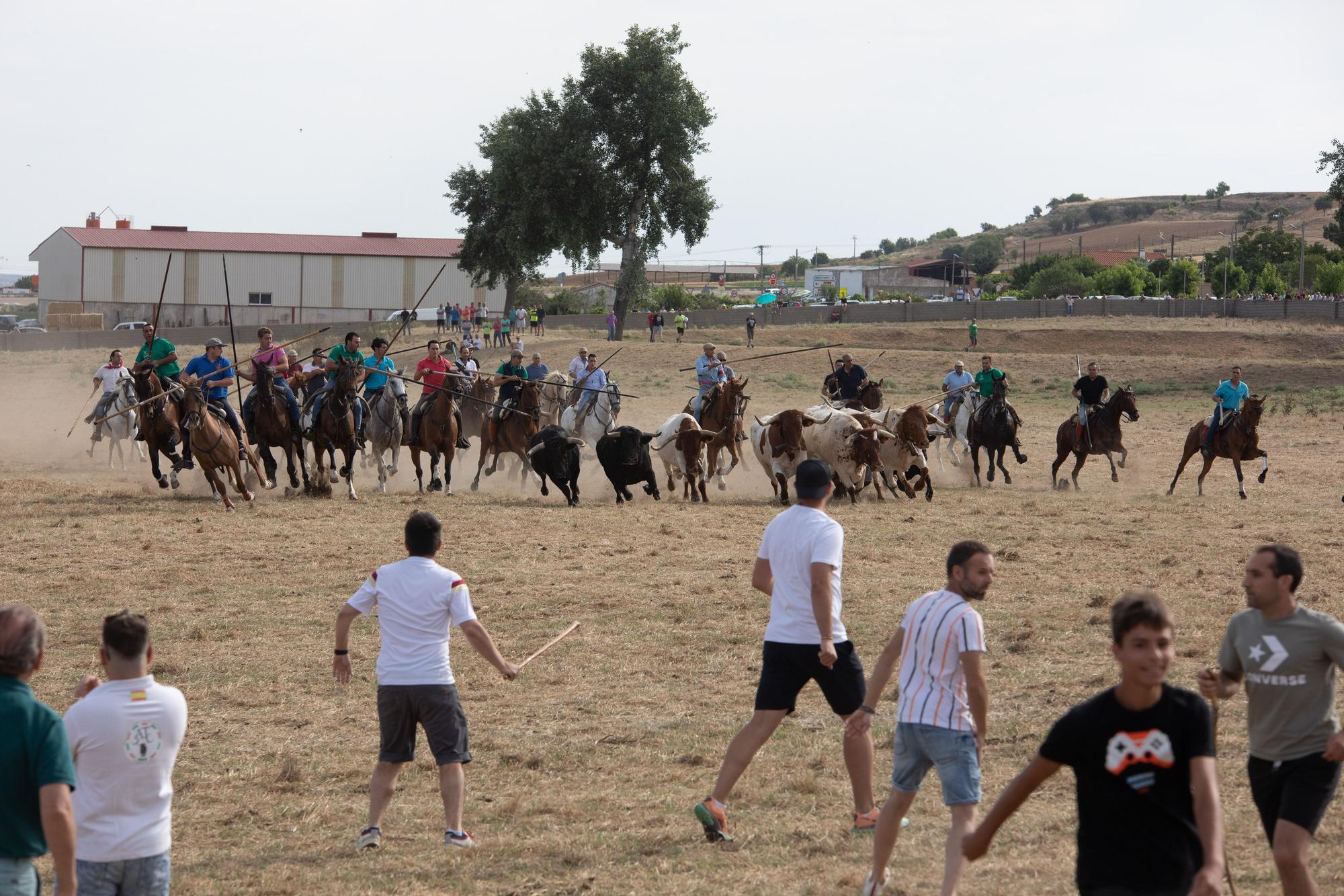 GALERÍA | Tradicionales espantes de Fuentesaúco