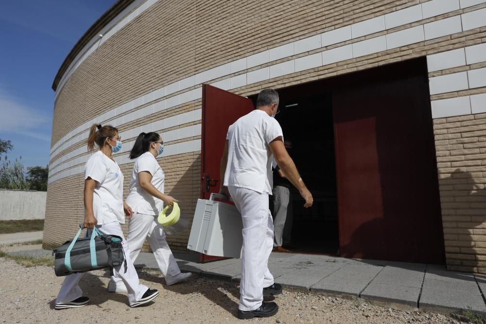 Extracció de mostres PCR a l'escola Bell-lloc de Girona