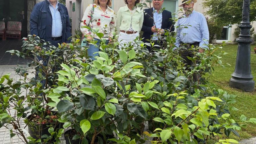 El «bosque das camelias» del albergue de peregrinos crece