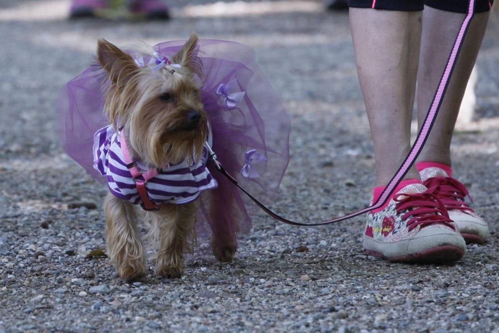 I Marxa Solidària Canina de Diari de Girona