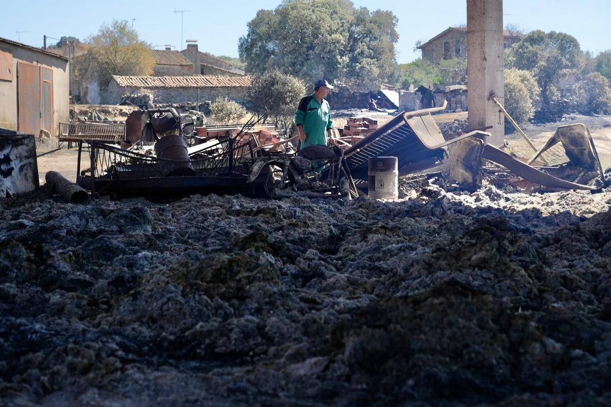 GALERÍA | El paso del fuego por Mámoles arrasa la explotación de Alfredo Fernándes