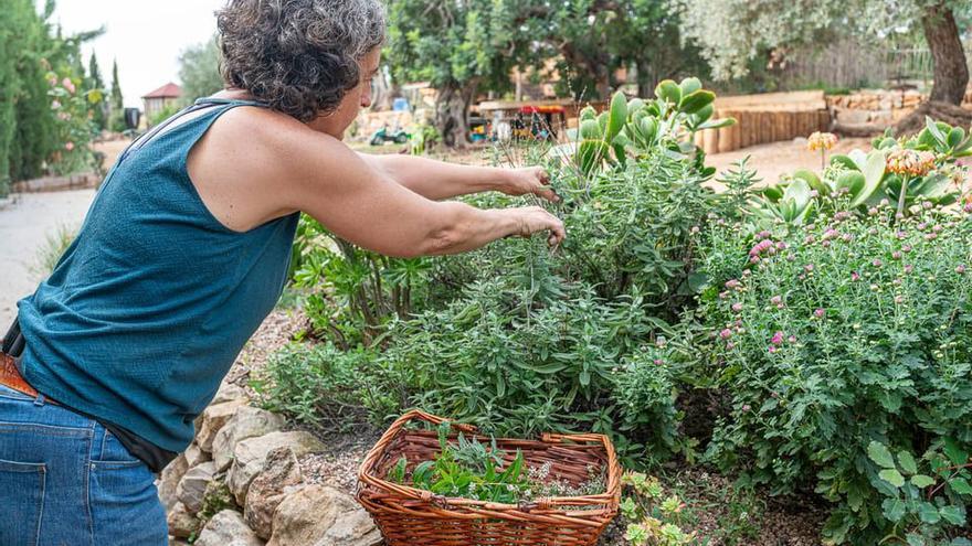 Sonia, en su espacio, donde se encuentran diversas especies de vegetación autóctonas del Maestrat.