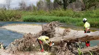 ¿Por qué es tan peligroso bañarse en el río Túria tras la dana?