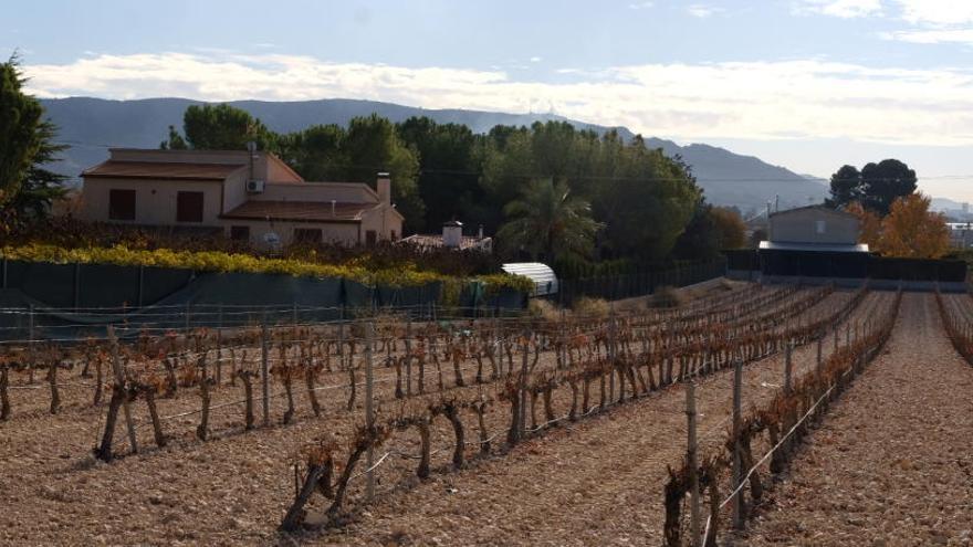 Imagen de la partida rural de El Morrón de Villena donde el jueves por la noche se produjo el violento robo