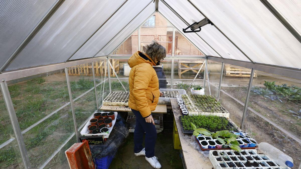 Pepi, en el invernadero, donde guardan las semillas de las plantas que luego siembran.