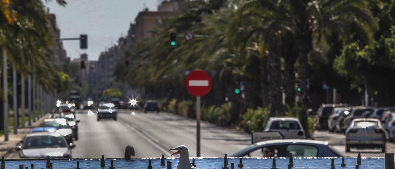 La avenida de Alicante, donde irá el carril bici