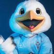 La gaviota Chiño, nueva mascota del Celta