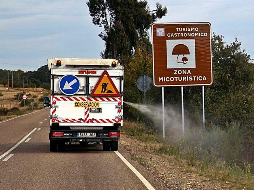 Esparciendo feromonas de lobo. | Ch. S.