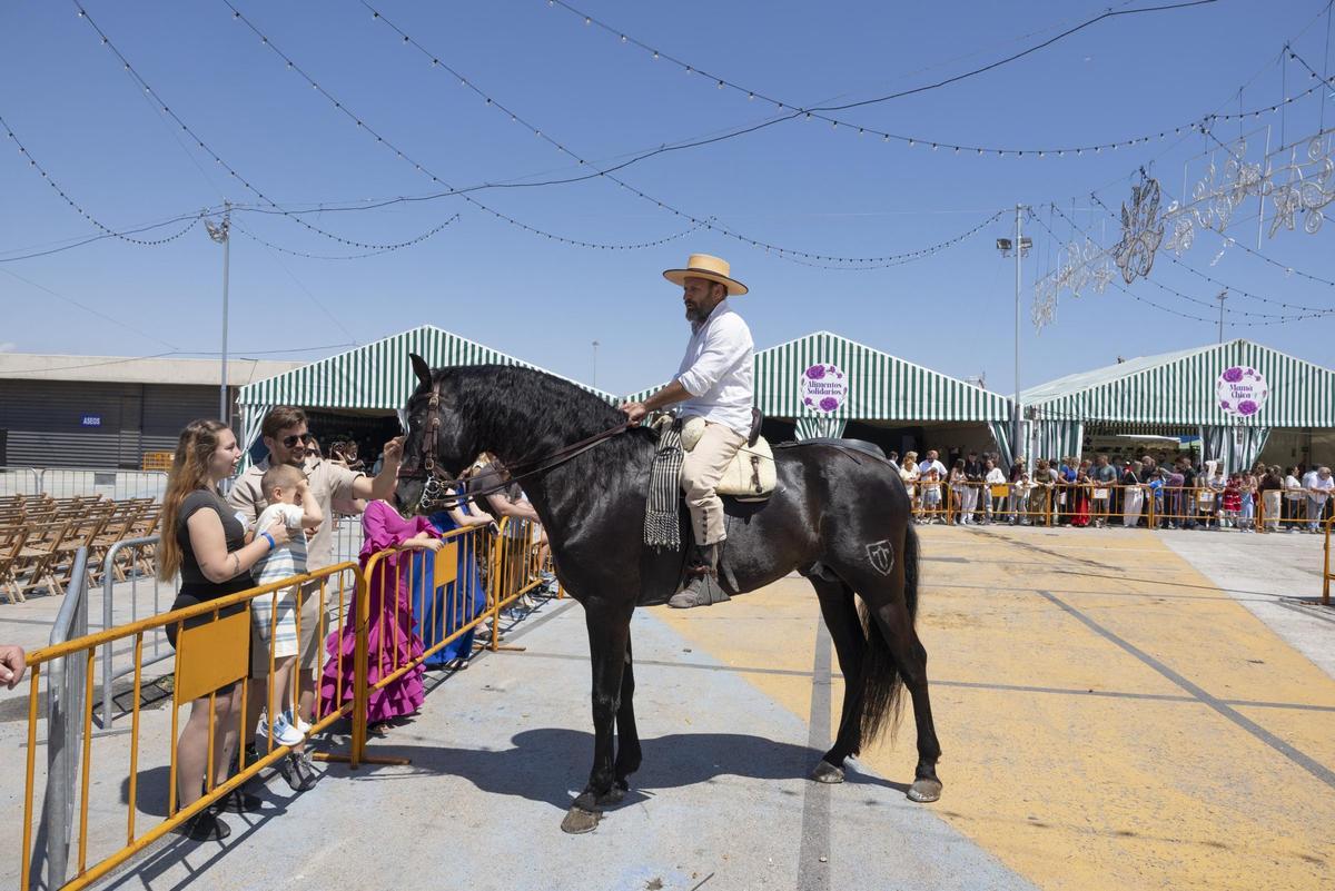 Desfile de carrozas y caballistas de la Feria de Mayo 2026 de Torrevieja este domingo