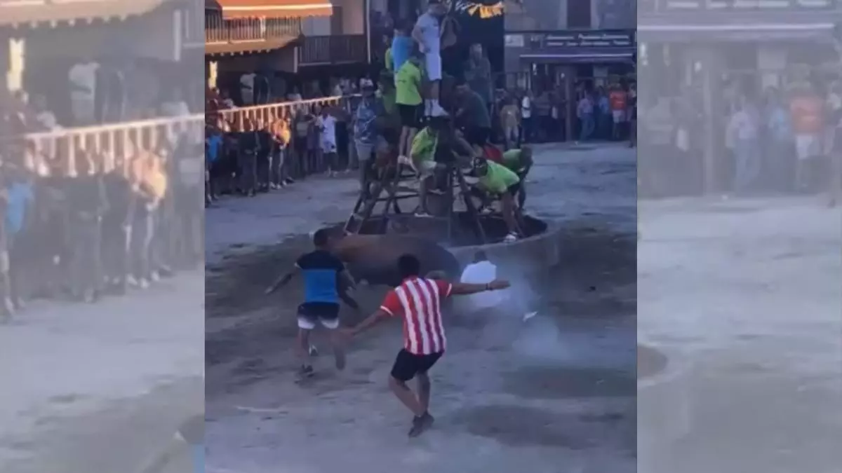 Trasladados al hospital de Cáceres dos heridos por asta de toro en Torrejoncillo y Cuacos de Yuste