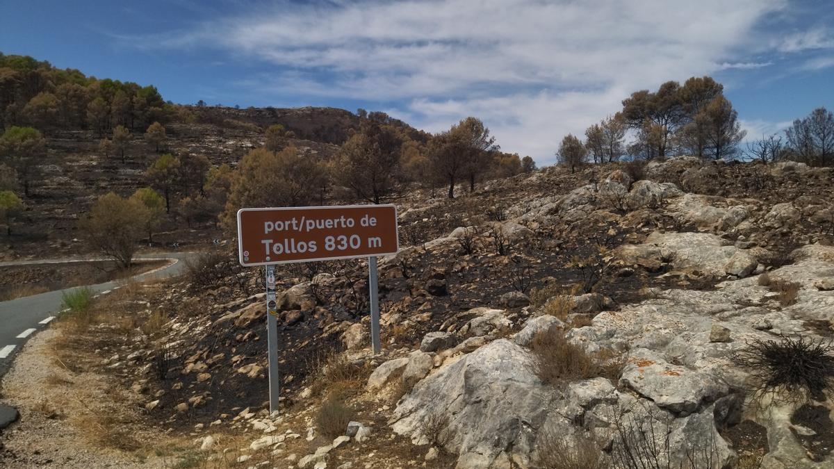 El fuego ha arrasado el puerto de montaña de Tollos, a 830 metros de altitud y muy frecuentado por ciclistas y motoristas