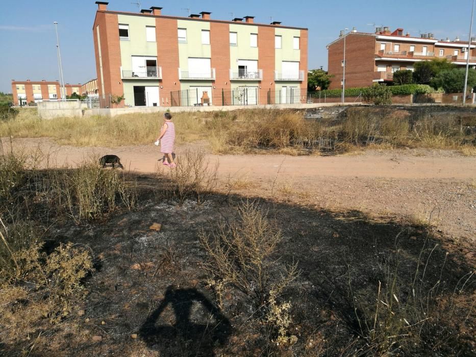 El desolador paisatge després del foc