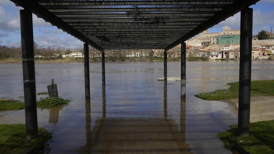 El Duero casi cuadruplica su caudal en una semana en Zamora