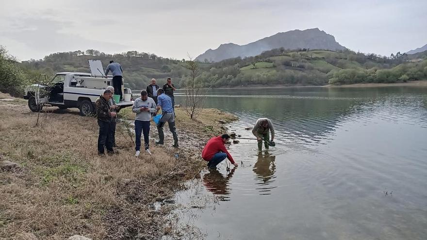 El embalse de Los Alfilorios es la caña: lleva siete años seguidos llenando el coto pesquero