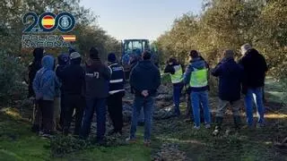 Tres detenidos por explotación laboral a extranjeros sin papeles en una finca de Córdoba