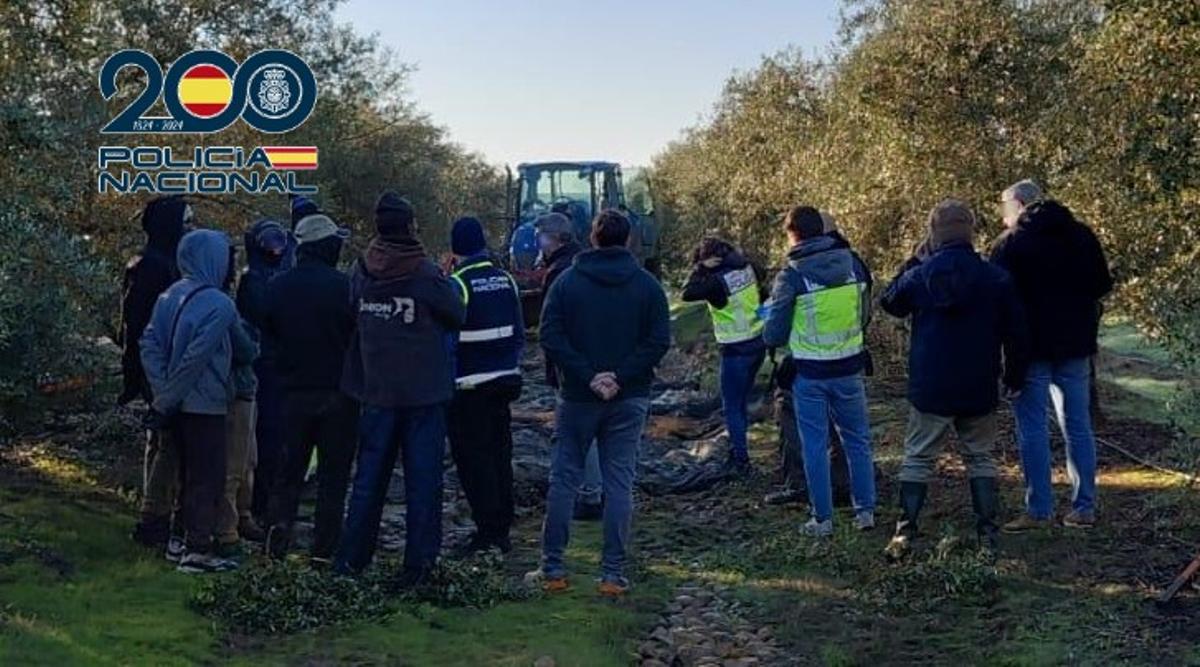 Intervención de la Policía Nacional en la finca agrícola de Almodóvar del Río.