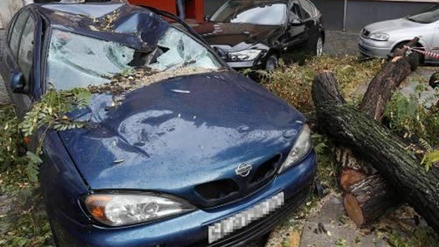 Cotxe destrossat per la caiguda d&#039;un arbre a Sevilla.