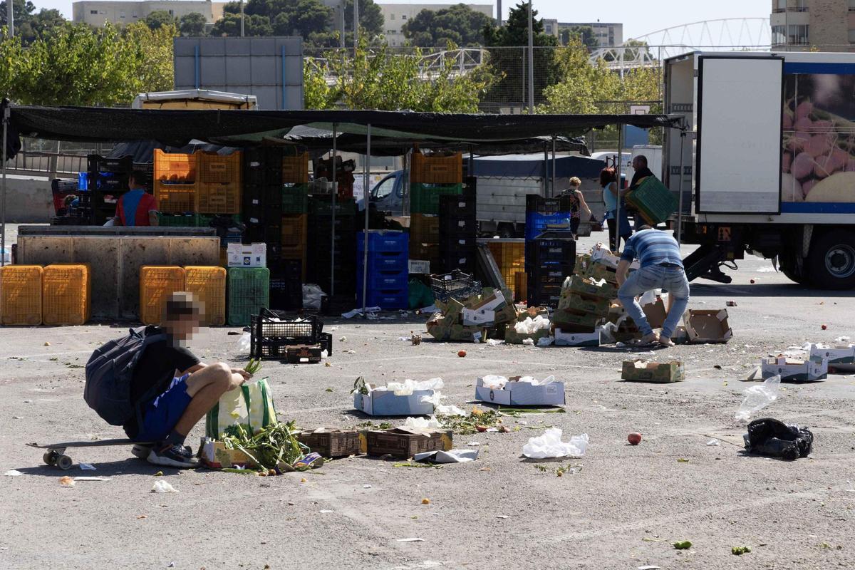 _MGL6550.jpg _MGL6550.jpg