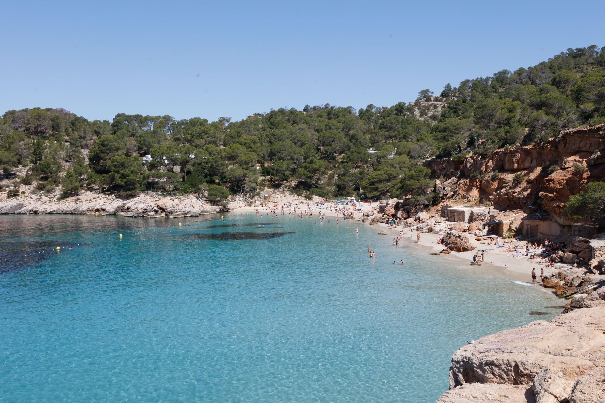 Primer día del servicio de autobús a Cala Salada