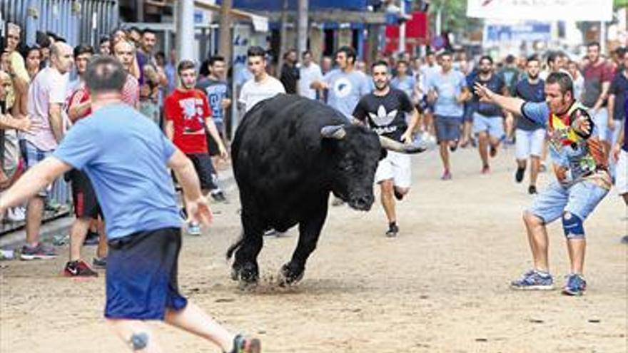 El Consell recibe 30 propuestas de taurinos para mejorar la seguridad