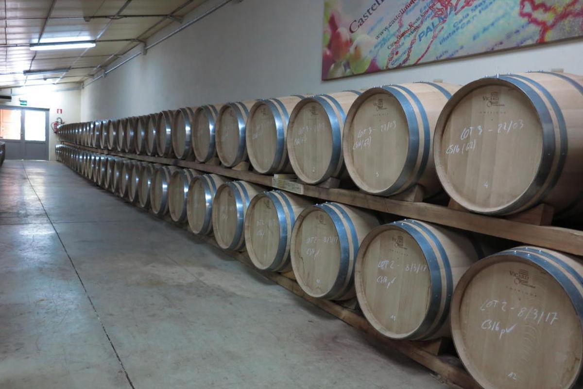 Vendimia en Mallorca en la finca Castell Miquel