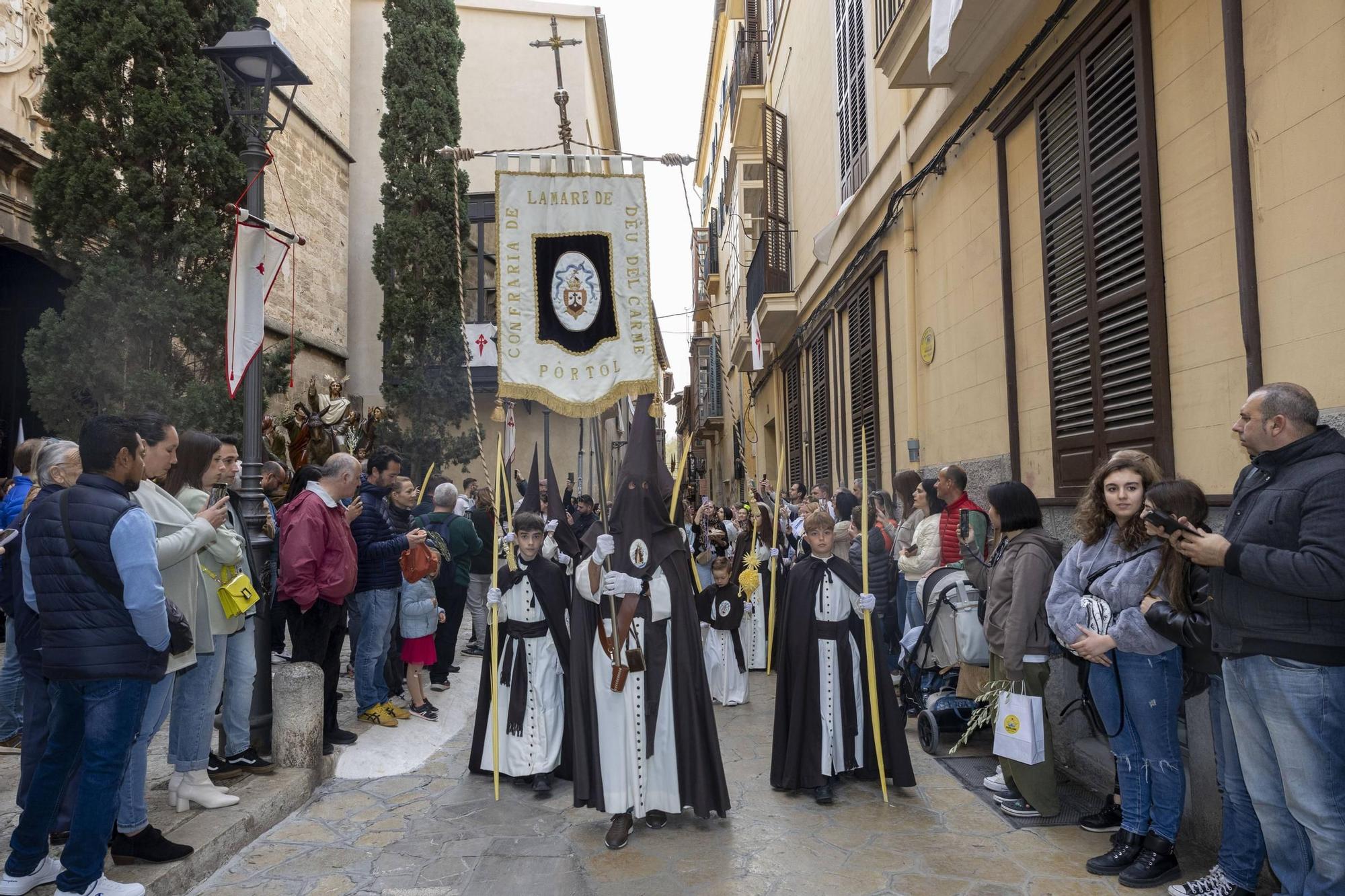 Procesión de Domingo de Ramos en Palma