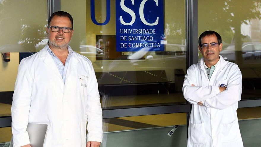 Los catedráticos de la USC Federico Martinón y Antonio Salas. | Cedida