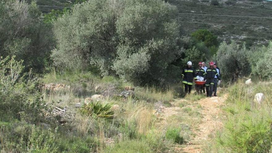 Un cazador halla el cadáver de la mujer desaparecida desde el 16 de agosto en Benicarló