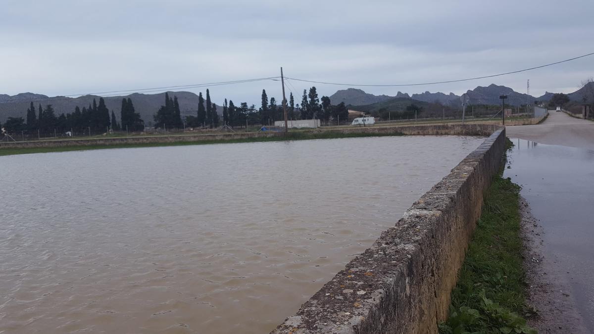 Una imagen de la finca de Almadrava donde se proyecta una de las plantas, totalmente inundada.