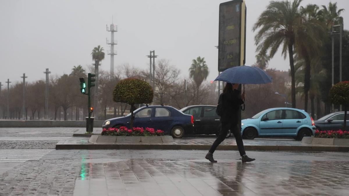 Un cordobés pasea cubierto con un paraguas bajo la lluvia.