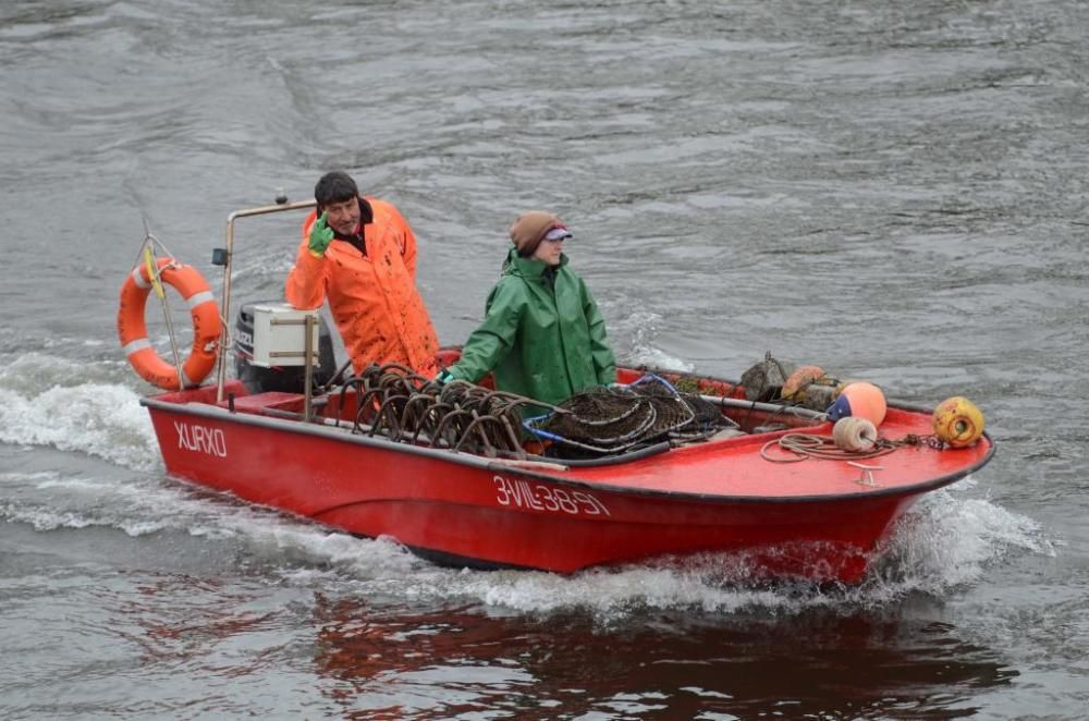 Pesca de lamprea en el río Ulla