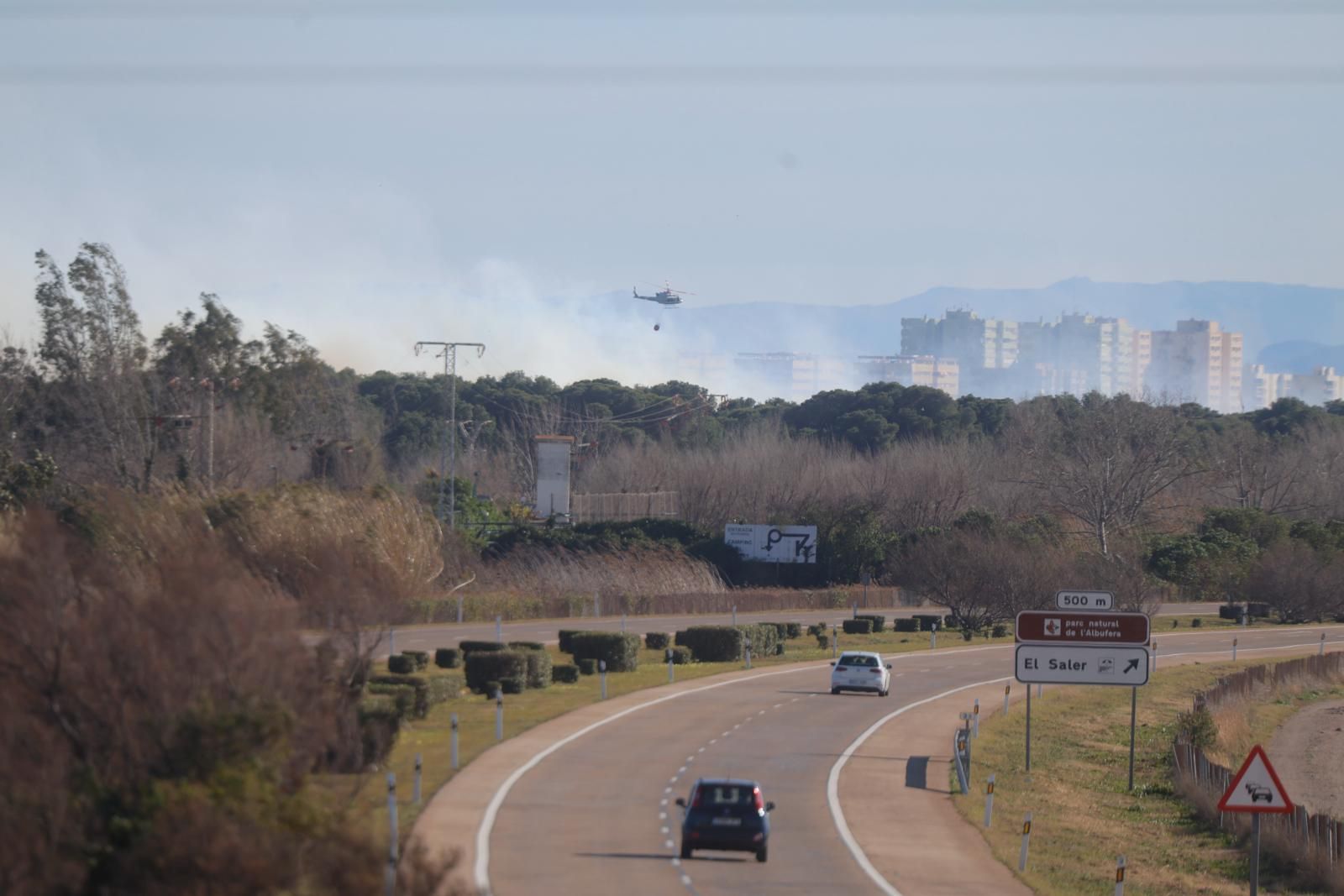 Declarado un incendio en el Saler