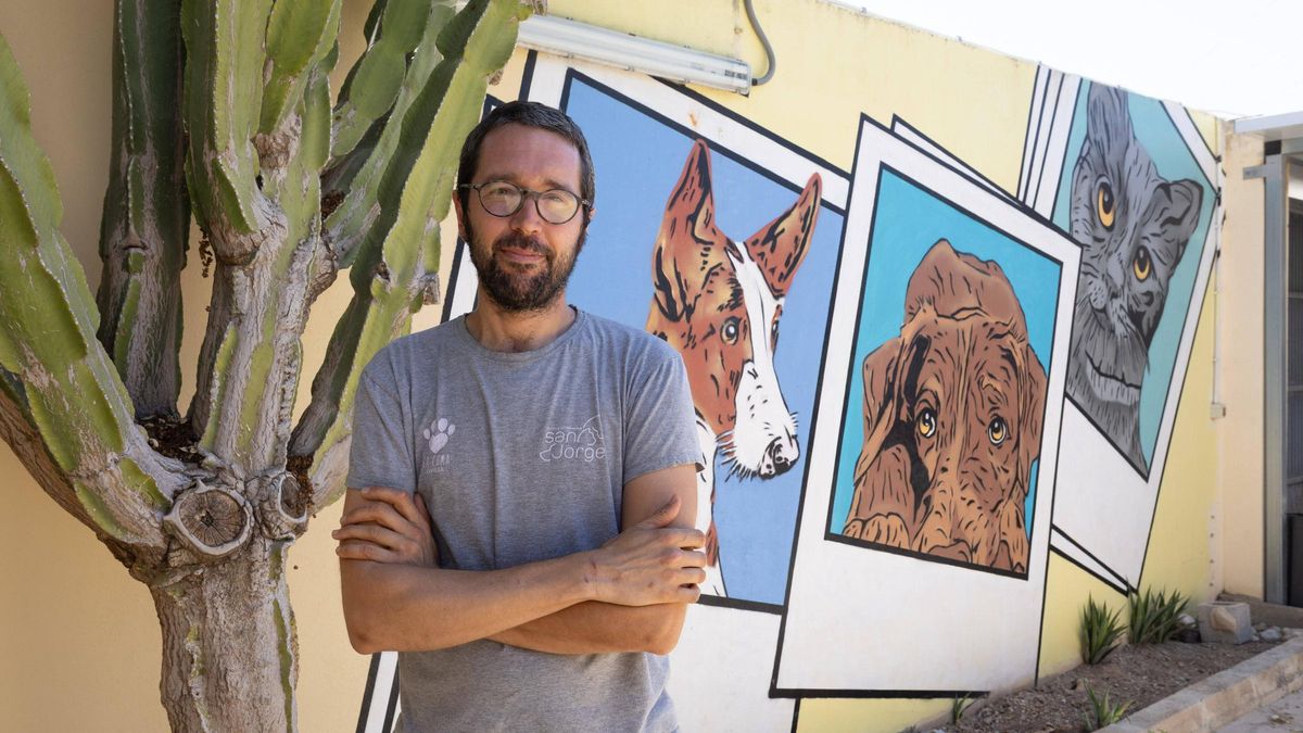 El veterinario del Centro de Protección Animal Sa Coma, Miguel Quiñones.