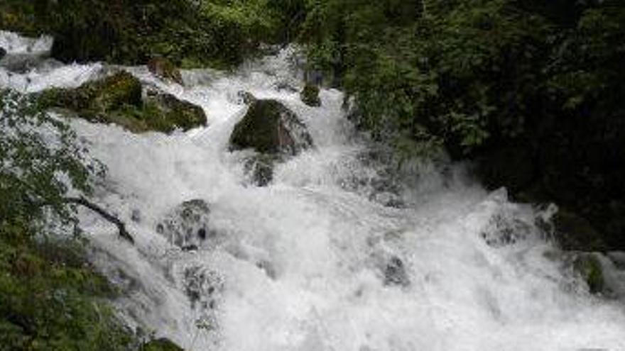 Les fonts del Cardener, al naixement del riu, en imatge d&#039;arxiu