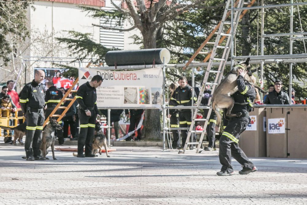 Jornada de emergencias en Alcoy