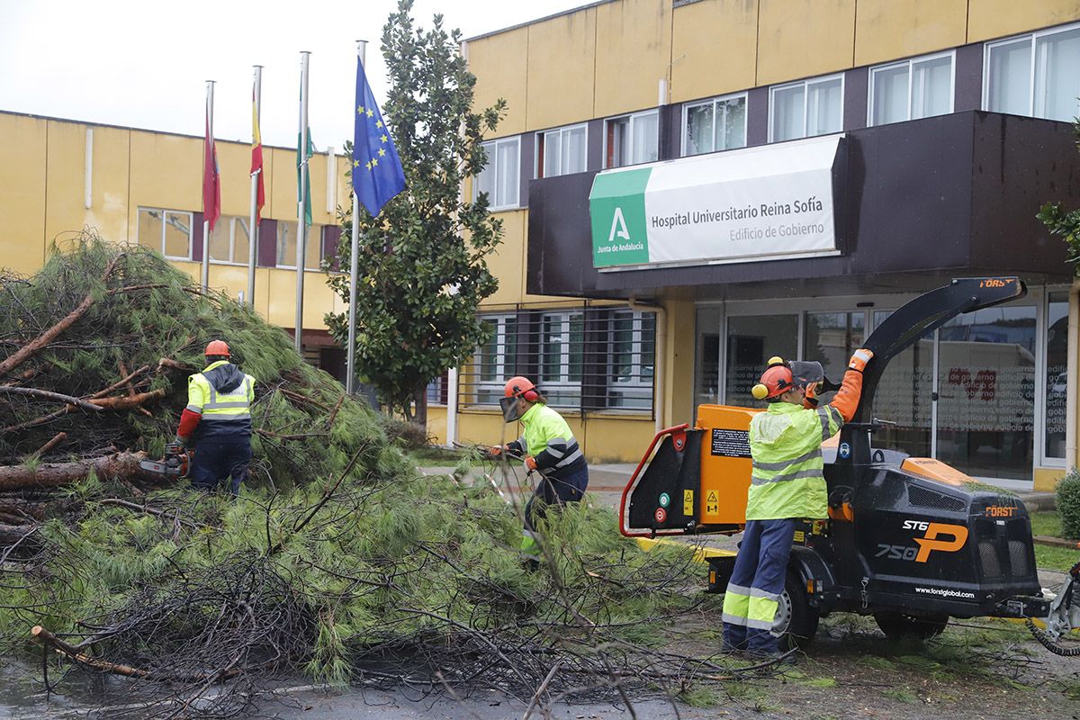 Un tornado deja un reguero de incidencias en el entorno del hospital Reina Sofía