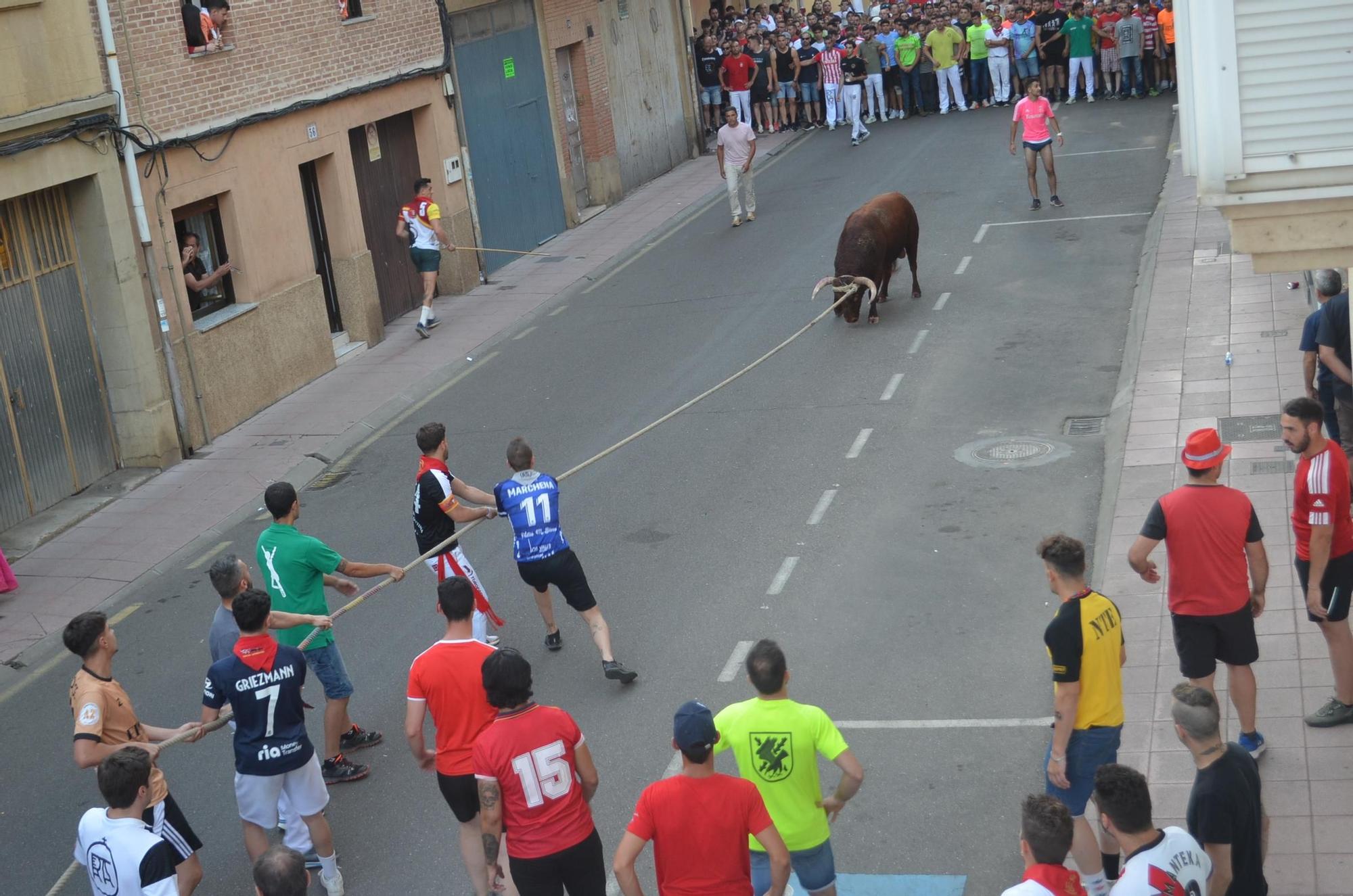 Así ha sido la carrera del torito Espléndido en Benavente