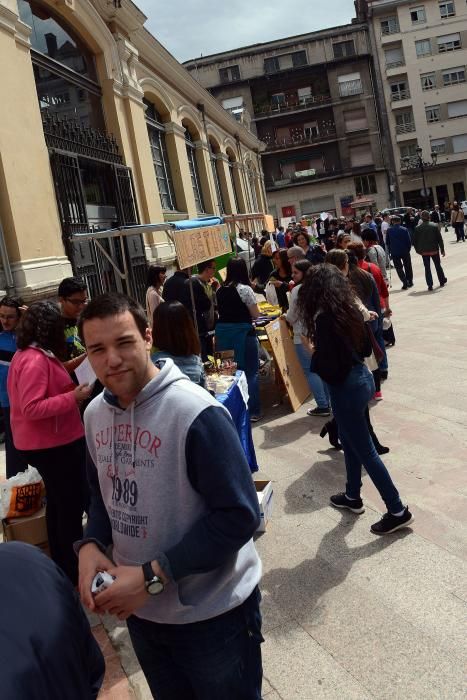 Mercado de Cooperativas en Mieres