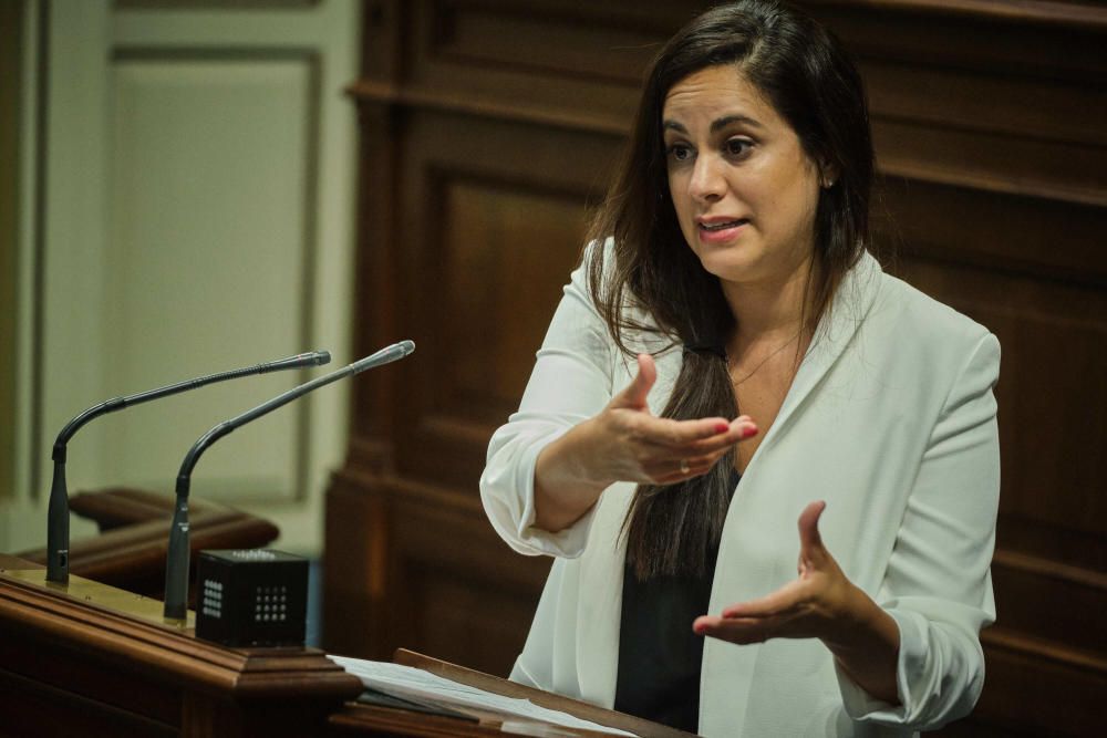 Pleno en el Parlamento de Canarias