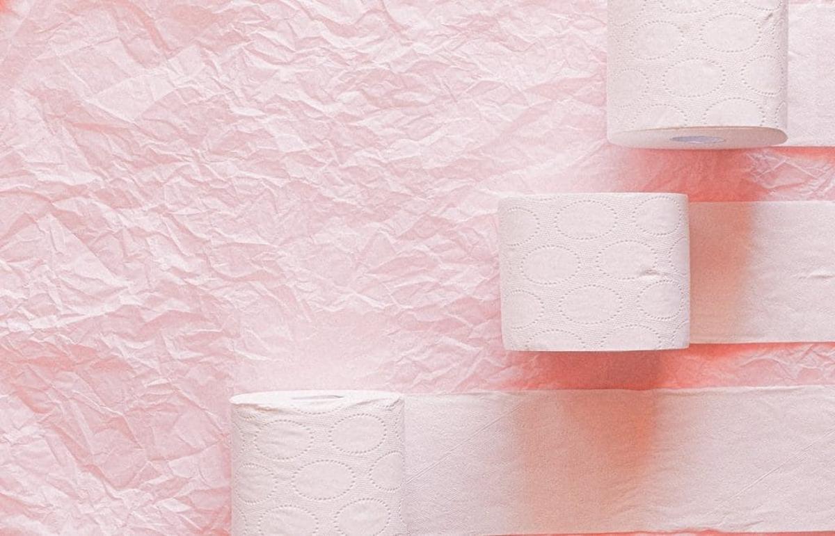 El papel higiénico es uno de los objetos necesarios para paliar la amenaza de os mosquitos